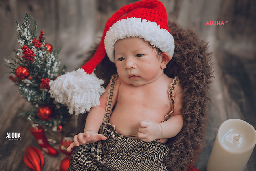 album ảnh giáng sinh newborn